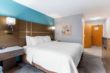 Standard Room, 1 King Bed, Accessible, Non Smoking