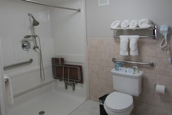 Room, 1 Double Bed, Accessible, Non Smoking