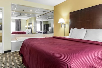Suite, 1 King Bed with Sofa bed