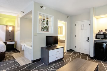 Suite, 1 King Bed with Sofa bed, Accessible, Non Smoking
