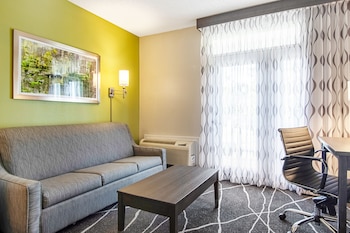Room, 1 King Bed with Sofa bed, Accessible, Non Smoking