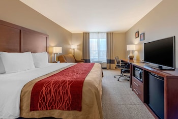 Standard Room, 1 King Bed, Non Smoking