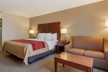Standard Room, 1 King Bed, Non Smoking