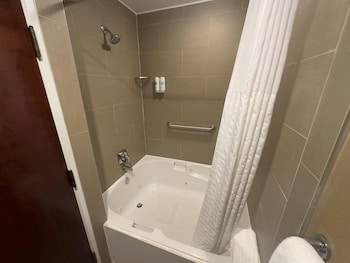 Suite, 1 King Bed with Sofa bed, Non Smoking (Efficiency)