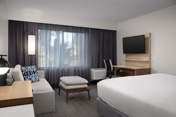Room, 1 King Bed with Sofa bed