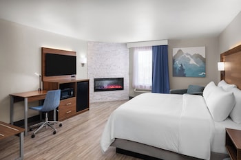 Premium Room, 1 King Bed, Fireplace