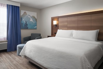 Premium Room, 1 King Bed, Fireplace