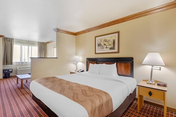 Room, 1 King Bed
