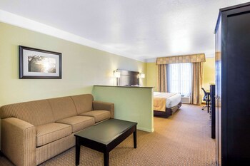 Suite, 1 King Bed, Non Smoking