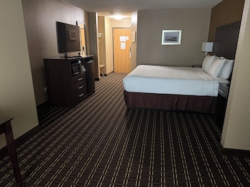 Standard Room, 1 King Bed, Non Smoking, Refrigerator & Microwave (with Single Sofabed)