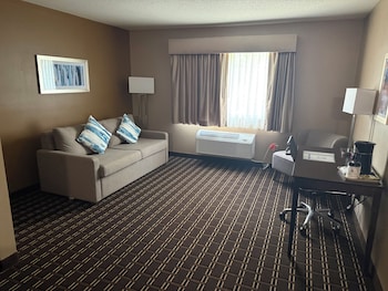 Standard Room, 1 King Bed, Non Smoking, Refrigerator & Microwave (with Single Sofabed)