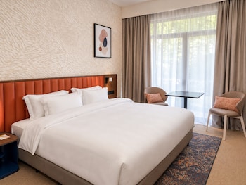 Suite, 1 King Bed with Sofa bed