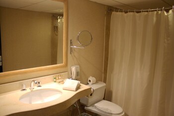 Standard Room, 1 Double Bed