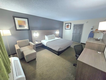 Room, 1 King Bed, Accessible, Non Smoking (Roll-In Shower)