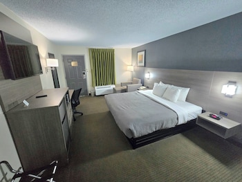 Suite, 1 King Bed, Smoking (Efficiency)