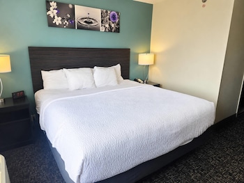 Suite, 1 King Bed with Sofa bed, Non Smoking