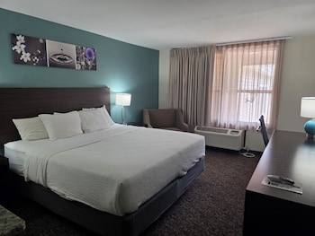 Suite, 1 King Bed with Sofa bed, Accessible, Non Smoking