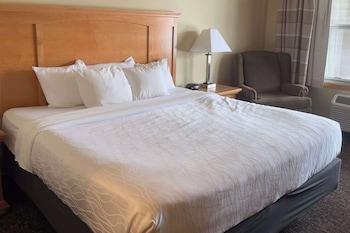 Suite, 1 King Bed with Sofa bed, Accessible, Non Smoking
