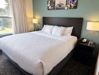 Suite, 1 King Bed with Sofa bed, Non Smoking