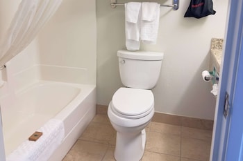 Suite, 1 King Bed, Accessible, Non Smoking