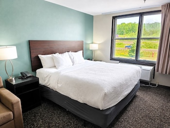 Suite, 1 King Bed with Sofa bed, Non Smoking, Jetted Tub