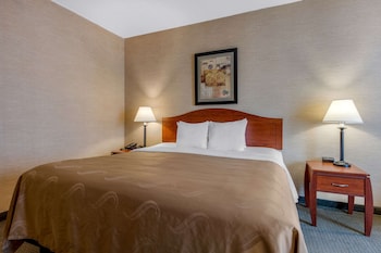 Standard Room, 1 King Bed, Non Smoking