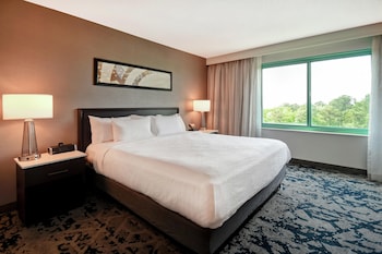 Suite, 1 King Bed, Microwave