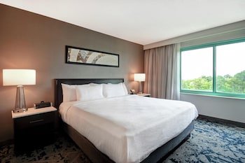 Suite, 1 King Bed, Microwave