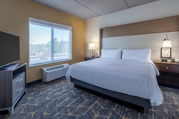 Suite, 1 King Bed with Sofa bed