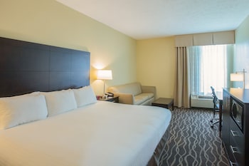 Room, 1 King Bed, Accessible, Non Smoking