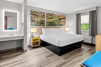 Suite, 1 King Bed with Sofa bed