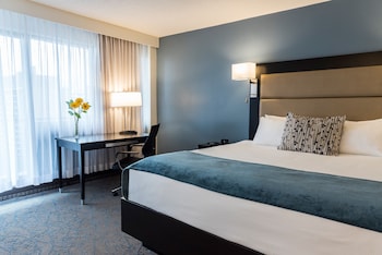 Bachelor Suite 1 King Bed