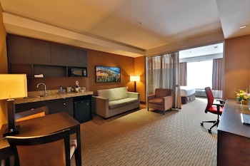 Business Suite, 1 King Bed with Sofa bed