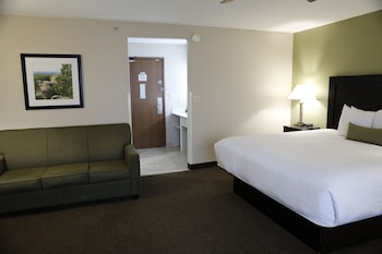 Standard Room, 1 King Bed, Non Smoking