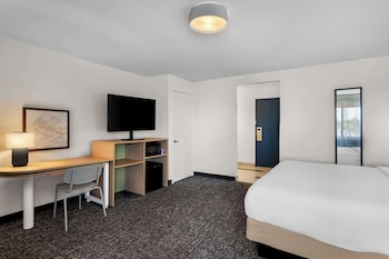 Room, 1 King Bed with Sofa bed