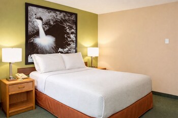Upgraded, Standard Room, 1 Queen Bed, Jetted Tub