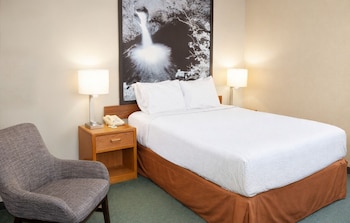Upgraded, Standard Room, 1 Queen Bed, Jetted Tub