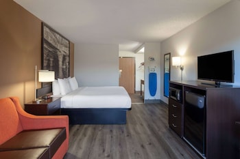 Standard Room, 1 King Bed with Sofa bed