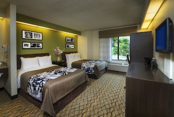 Standard Double Room, 2 Double Beds, Non Smoking