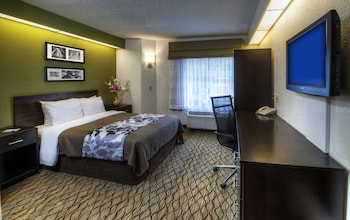 Room, 1 Queen Bed, Accessible, Non Smoking