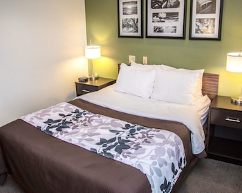 Room, 1 Queen Bed, Accessible, Non Smoking