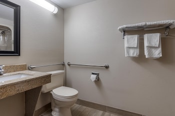 Standard Room, 1 King Bed, Accessible, Bathtub