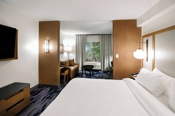 Suite, 1 King Bed with Sofa bed