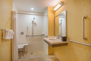 Standard Room, 1 King Bed, Accessible (Mobility, Roll-In Shower)