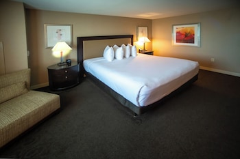 Deluxe Room, 1 King Bed, Non Smoking