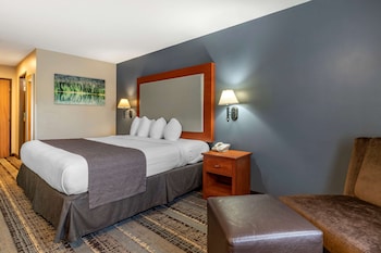Standard Room, 1 King Bed, Non Smoking, Refrigerator & Microwave