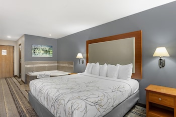 Standard Room, 1 King Bed, Non Smoking, Refrigerator & Microwave
