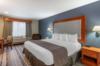 Standard Room, 1 King Bed, Non Smoking, Refrigerator & Microwave