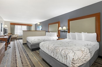 Standard Room, 2 Queen Beds, Non Smoking, Refrigerator & Microwave