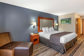 Standard Room, 1 King Bed, Non Smoking, Refrigerator & Microwave